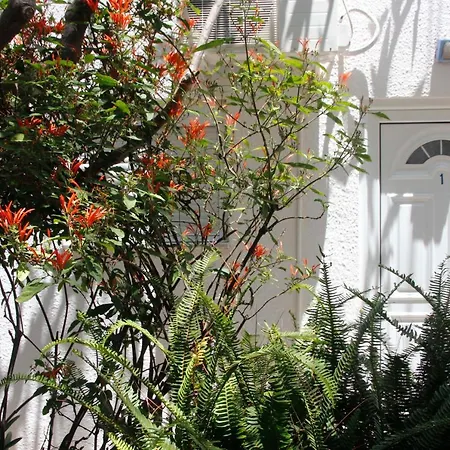 Milios Megalon Chorion (Tilos)