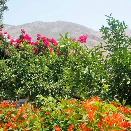 Milios Inn Megalon Chorion (Tilos)
