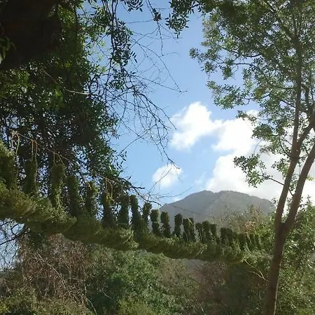 Milios Мини-отель Megalon Chorion (Tilos)