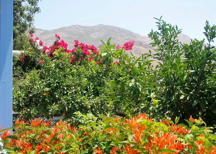 Milios Mini-hôtel Megálon Choríon