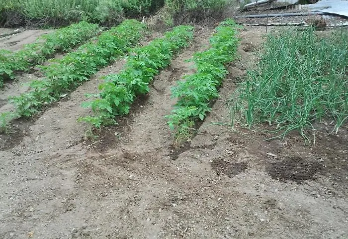 Milios Mini-hôtel Megálon Choríon