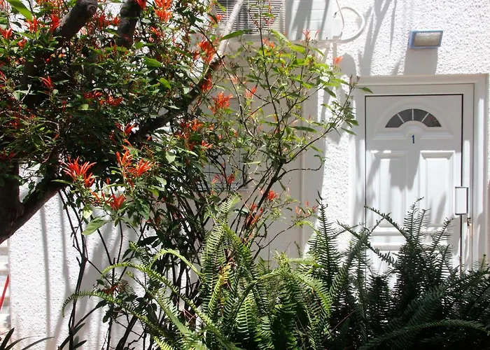 Milios Megálon Choríon